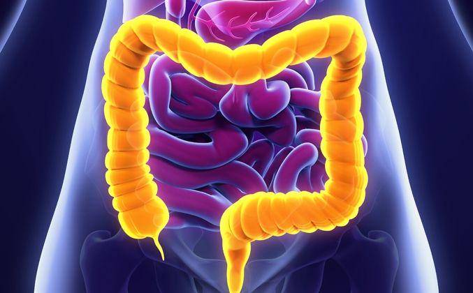 loyolamedicine.org