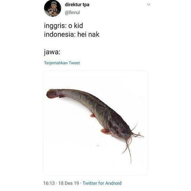 Twitter.com/finrul