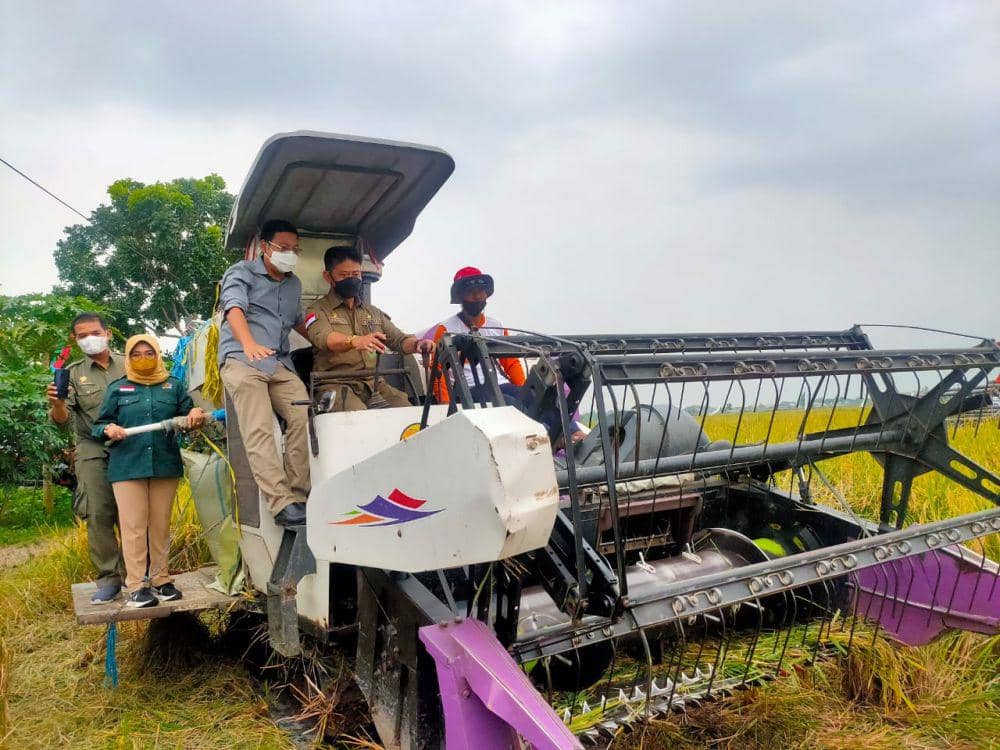 Ekonomi Indonesia Tumbuh 5,44 Persen, Sektor Pertanian Jadi Andalan