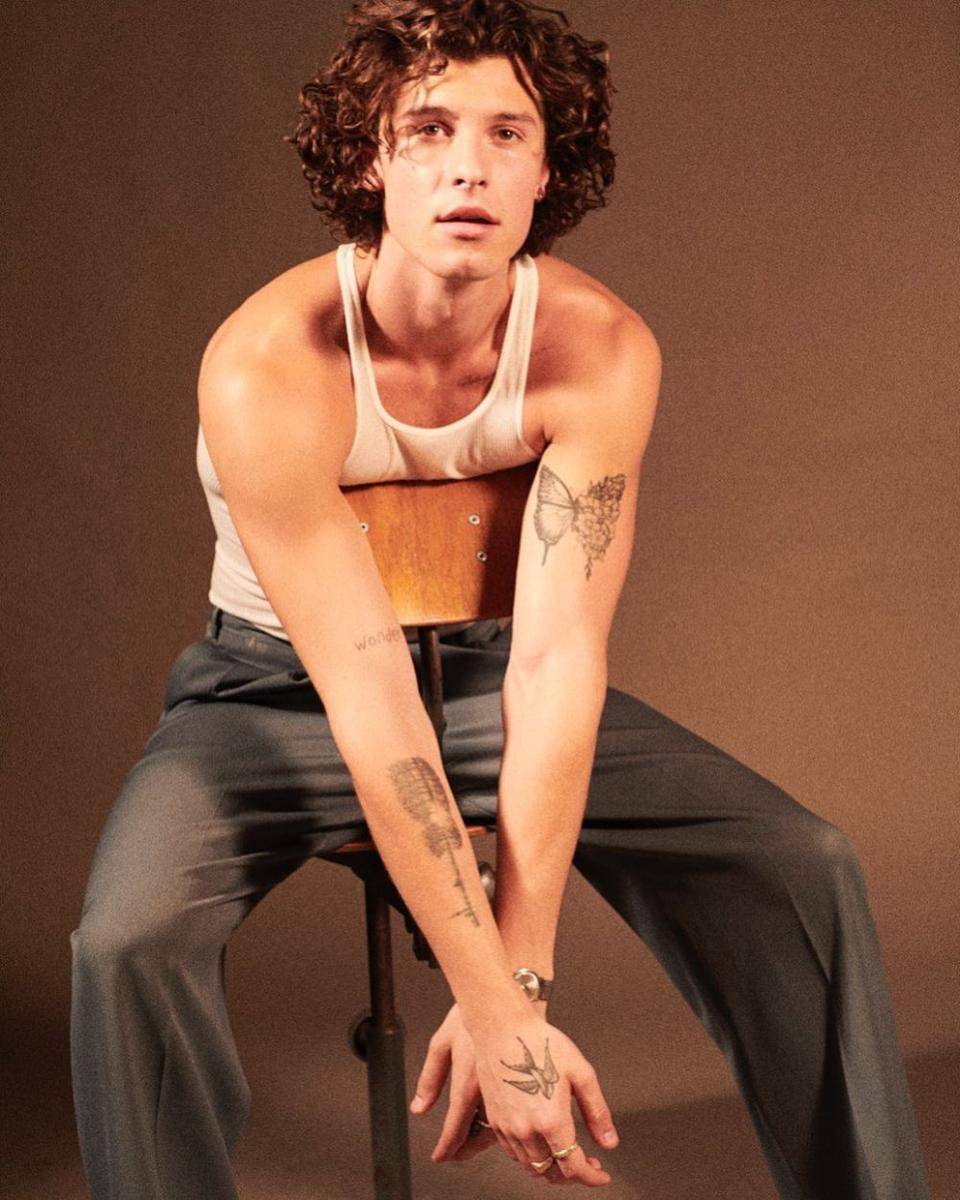 instagram.com/shawnmendes/