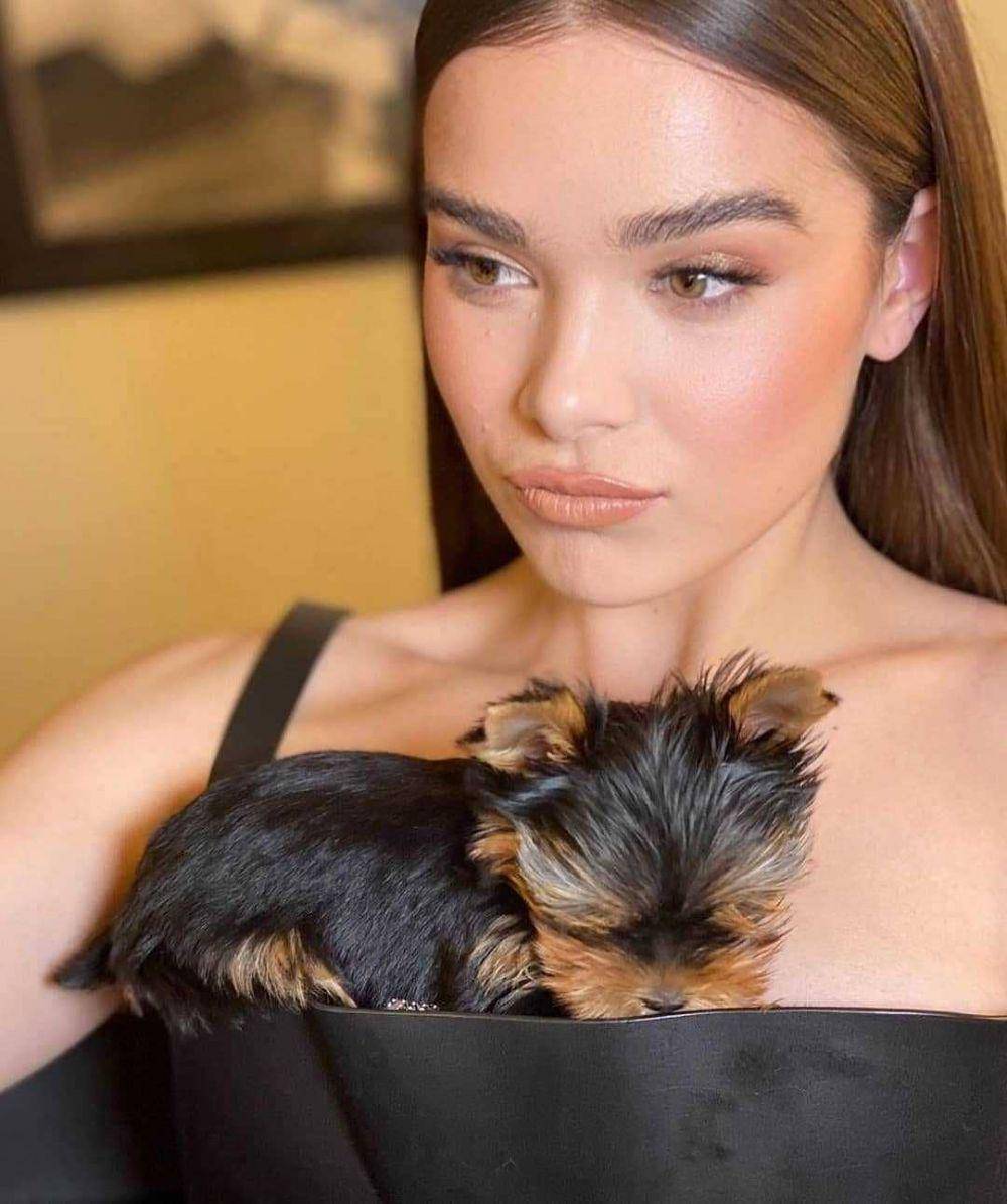 instagram.com/haileesteinfeld122