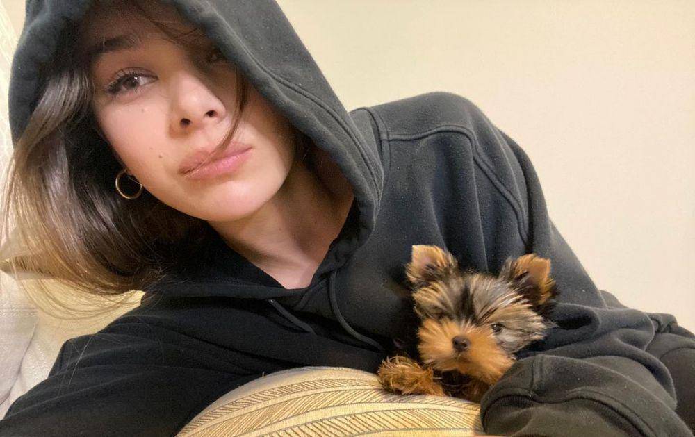 instagram.com/haileesteinfeld