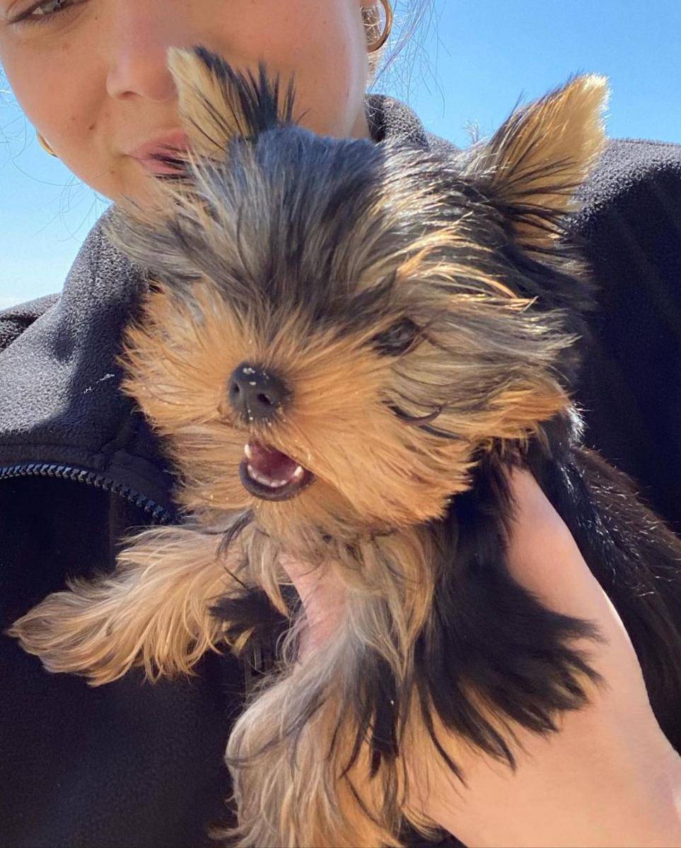 instagram.com/haileesteinfeld