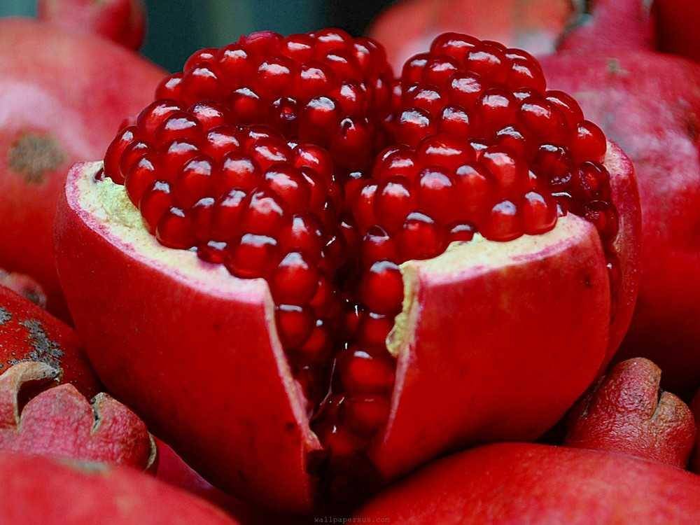 theflamingvegan.com