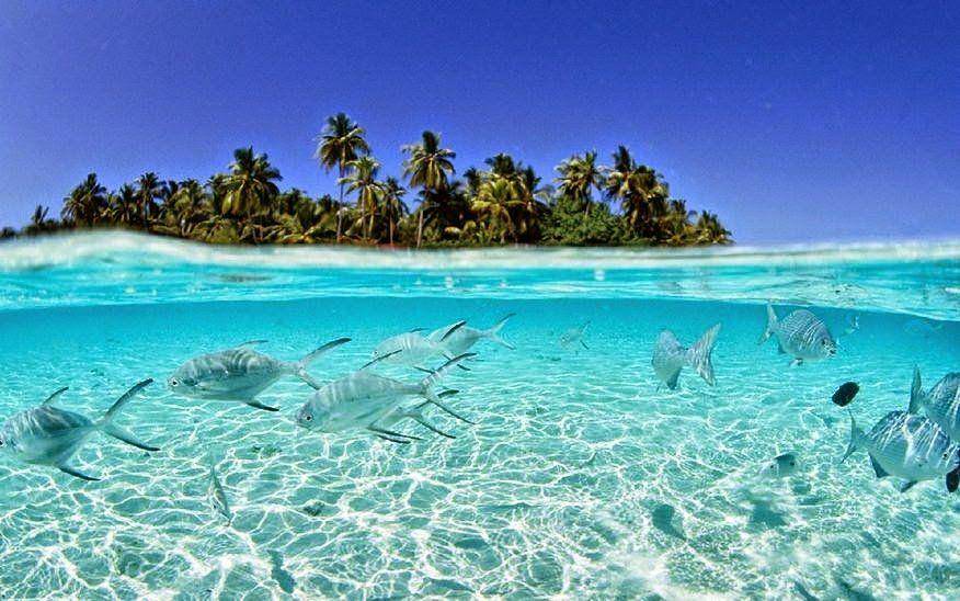 Tuvalu (holidayhometimes.com)