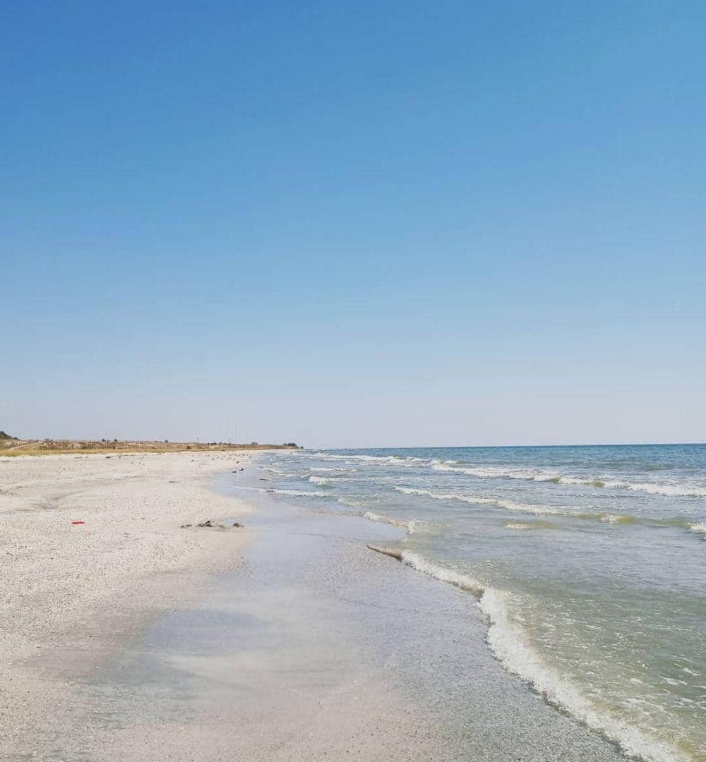 Instagram.com/roxanamlendea