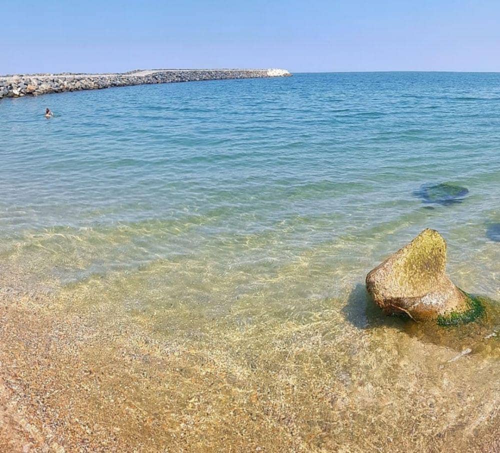 Instagram.com/constantapitoreasca