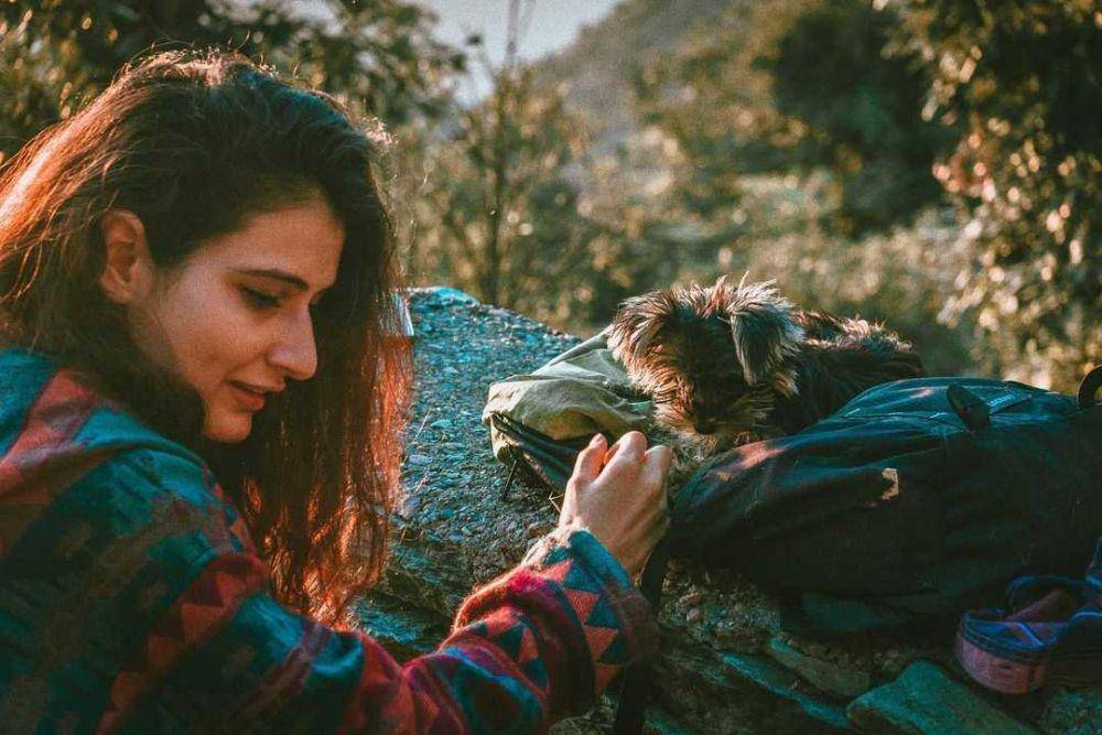 instagram.com/fatimasanashaikh