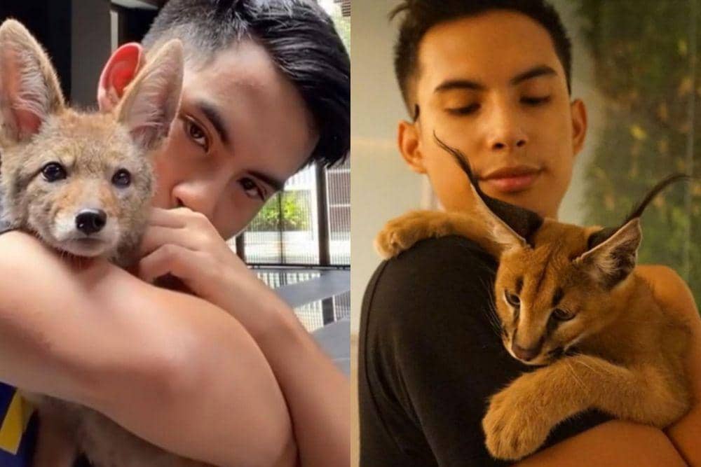 10 Potret Kedekatan Niko Al Hakim dengan Hewan Peliharaannya
