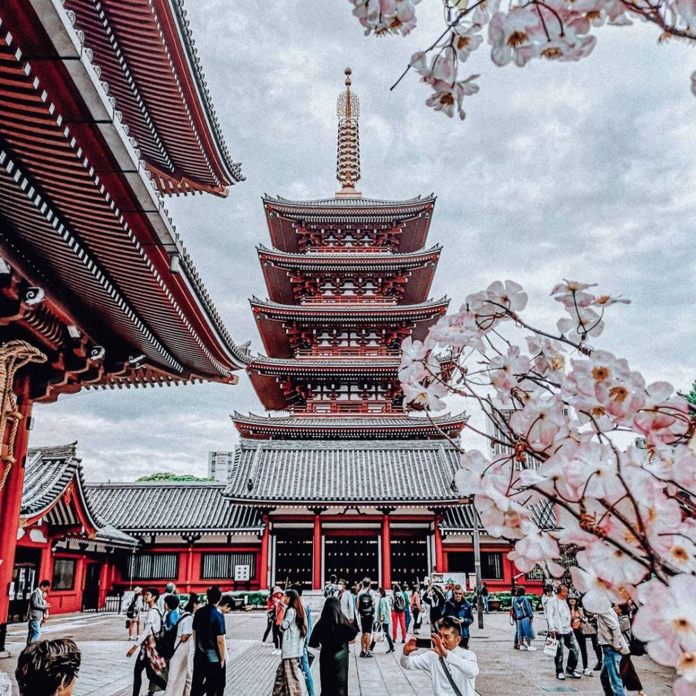 instagram.com/tastiertravel