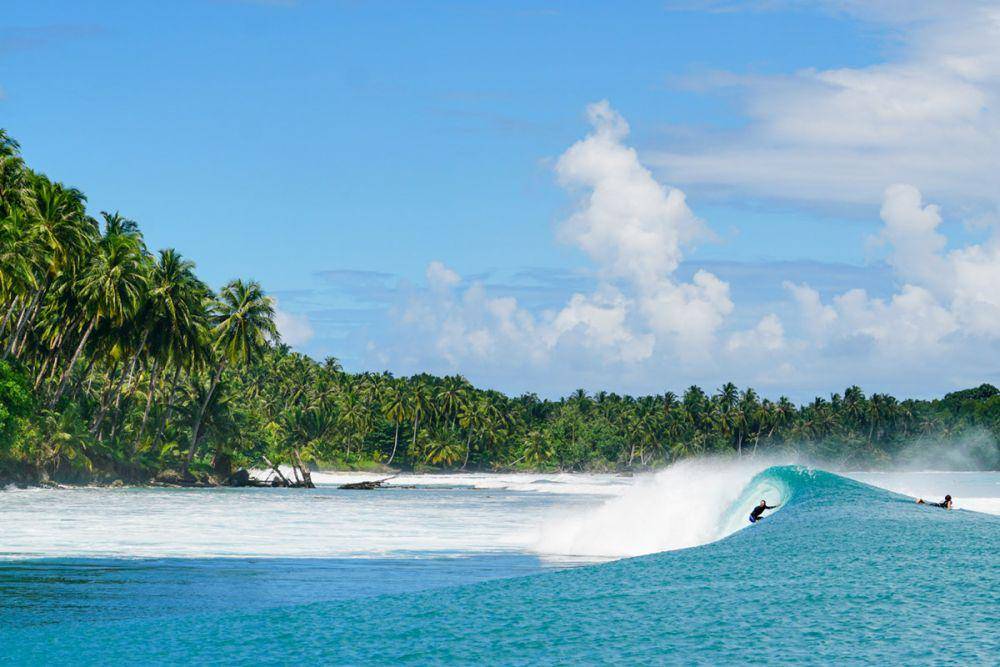 carvemag.com
