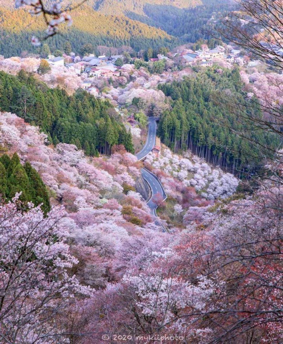 instagram/raw_japan_