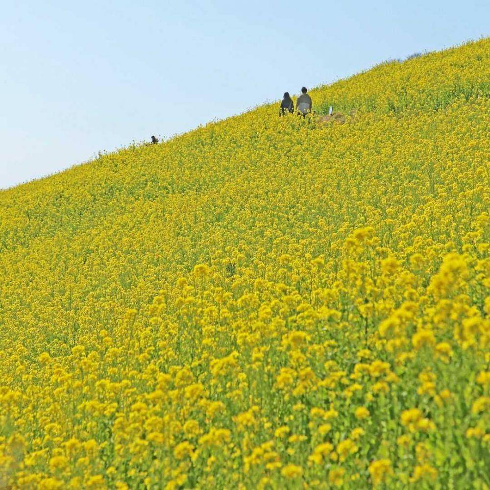 instagram/motherfarm_official