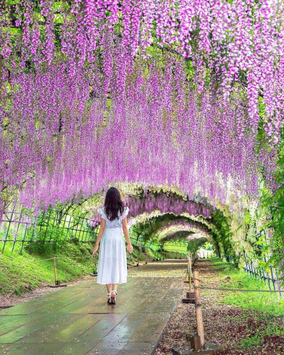 instagram/kyoko1903