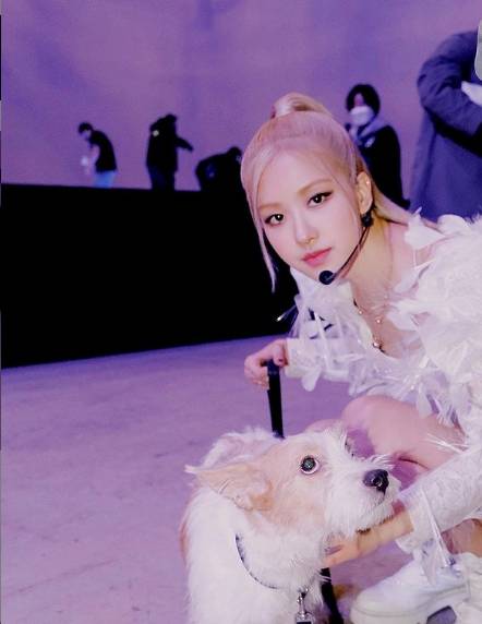 instagram.com/roses_are_rosie