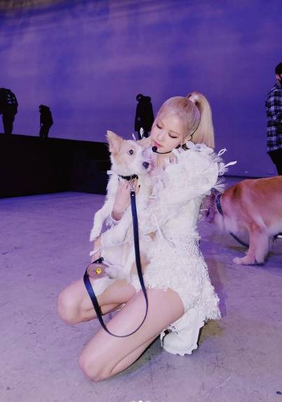 instagram.com/roses_are_rosie