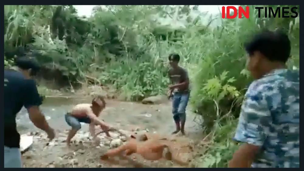 Tangkapan layar empat pemuda siksa satwa dilindungi jenis simpai. IDN Times/Andri NH