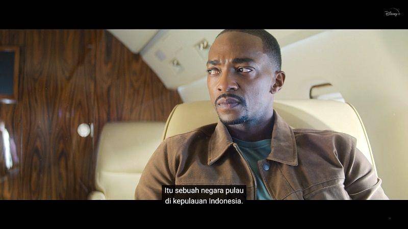 Disney+ Hotstar/Falcon and Winter Soldier