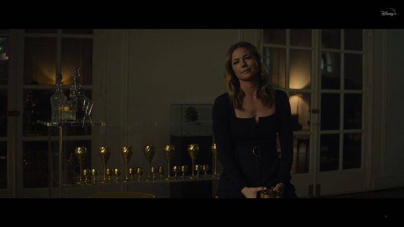 Disney+ Hotstar/The Falcon and The Winter Soldier