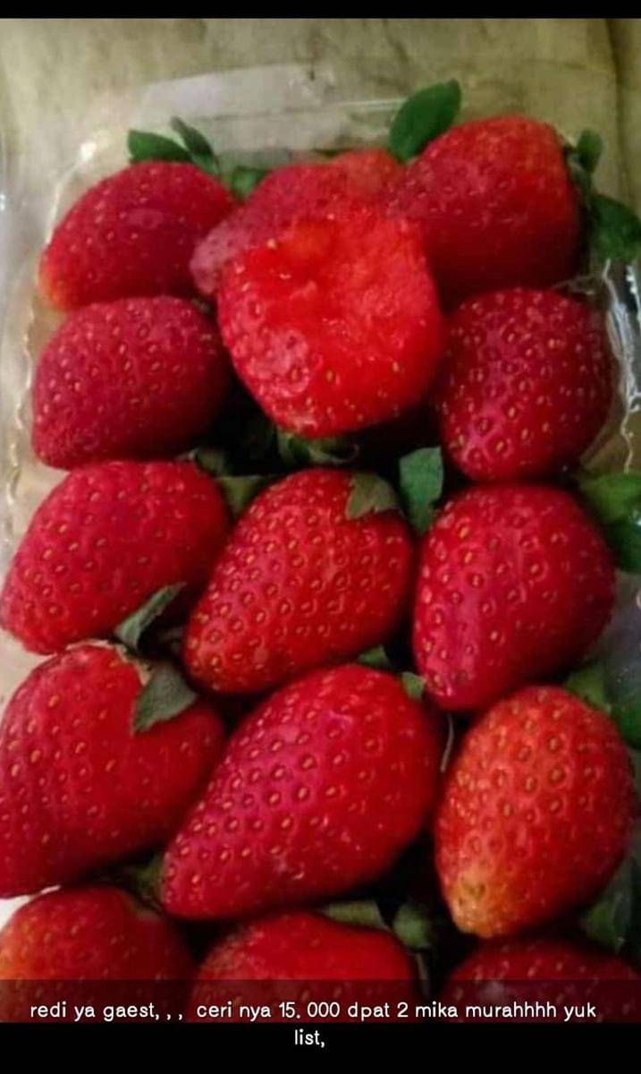 twitter.com/txtdarionlshop