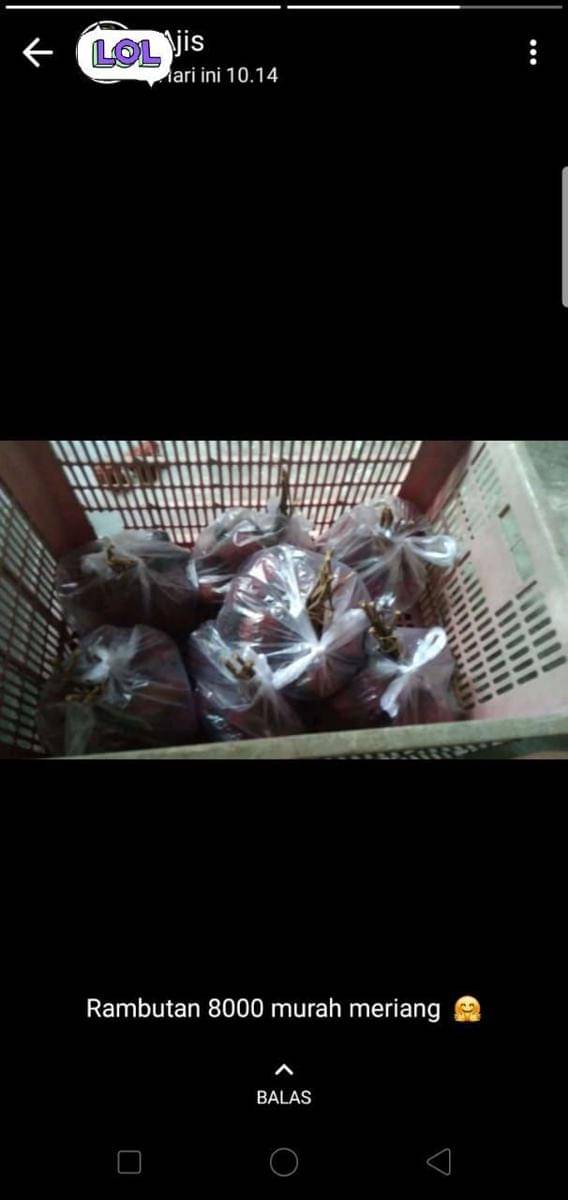 twitter.com/txtdarionlshop