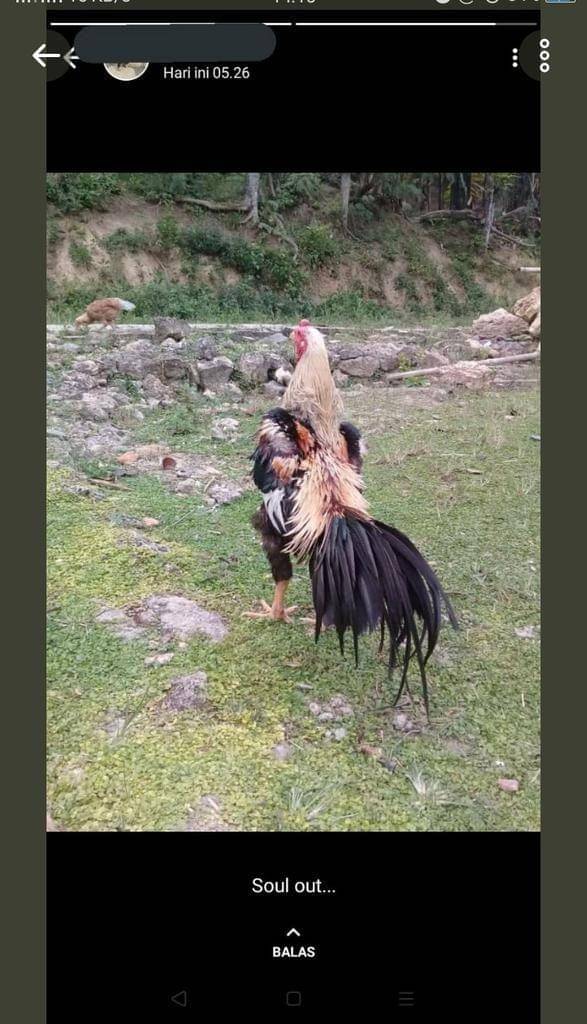 twitter.com/txtdarionlshop