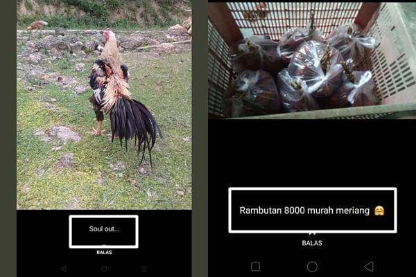 twitter.com/txtdarionlshop