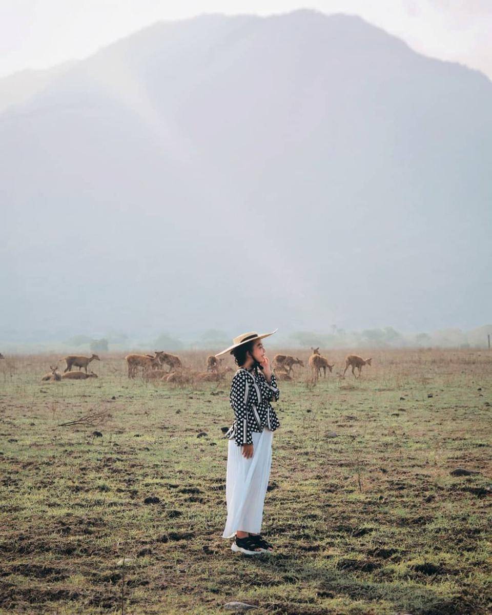 instagram.com/ferdiozom_