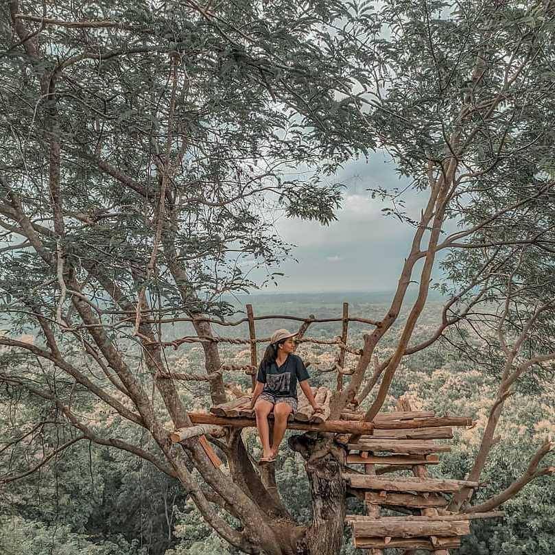 instagram.com/dolanjember