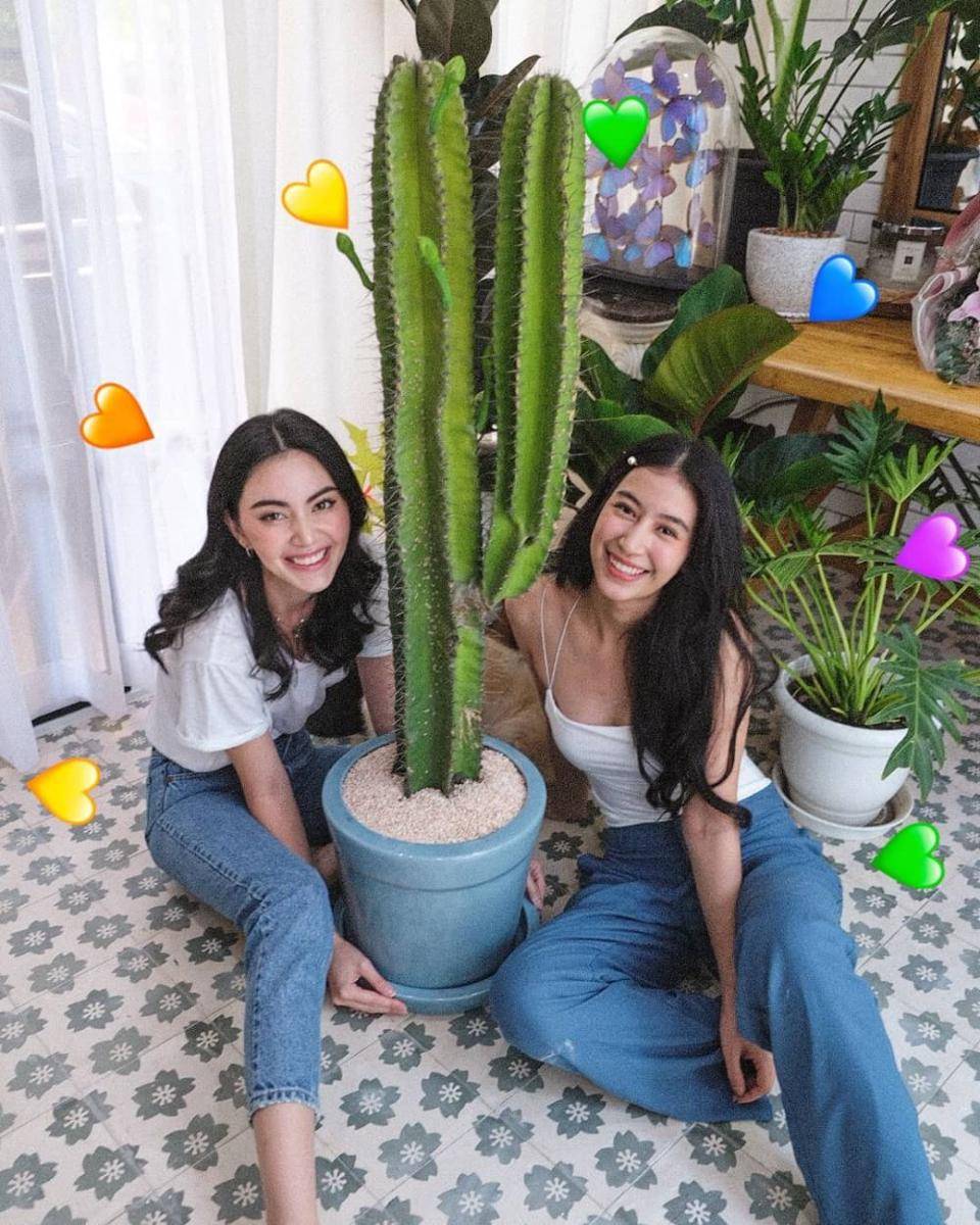 instagram.com/davikah
