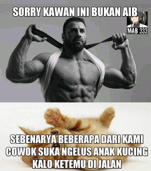 facebook.com/MAB 333