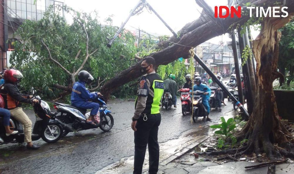 Ada pohon tumbang, jalan akses ui depok macet parah!