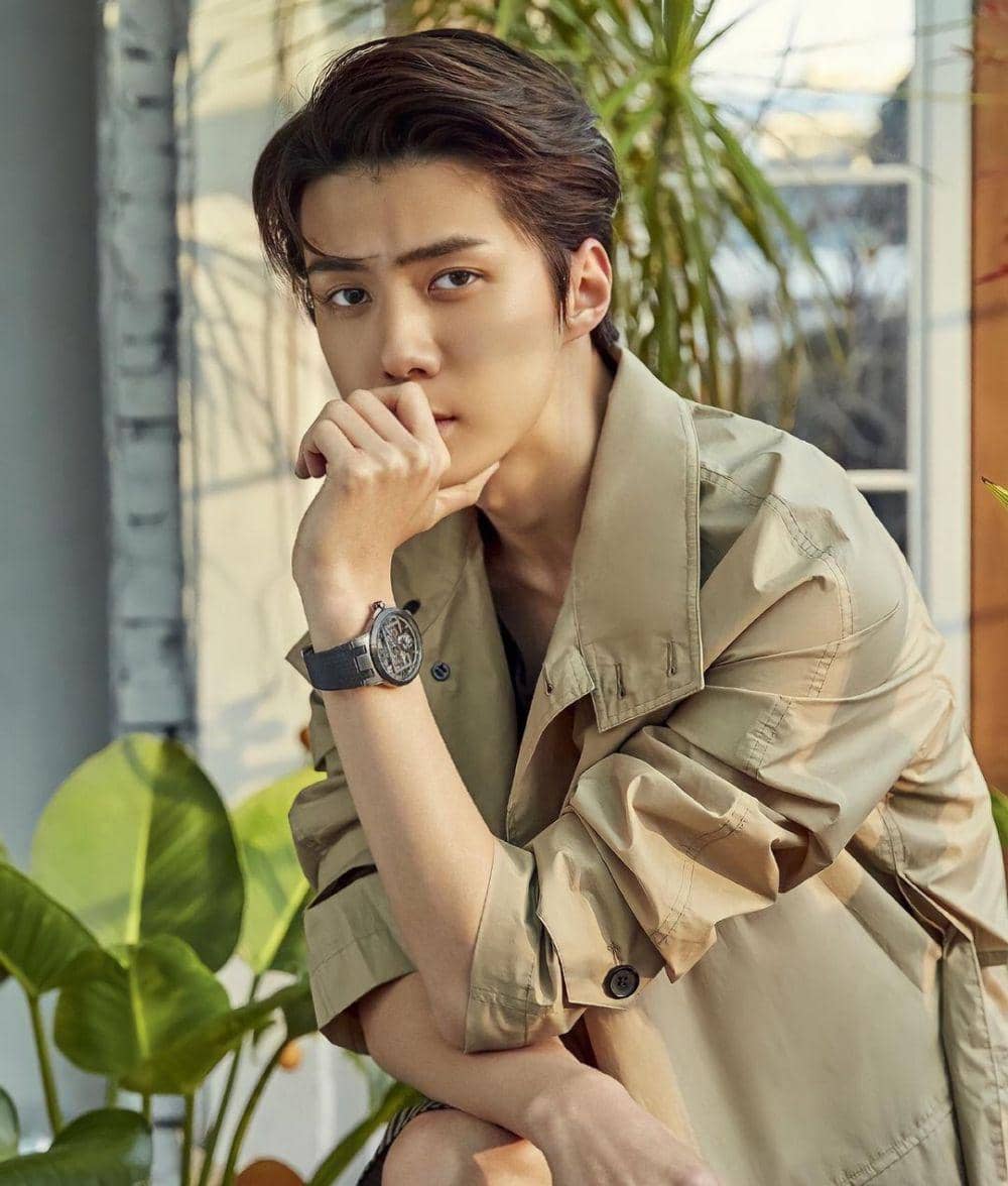 Instagram.com/dailysehun