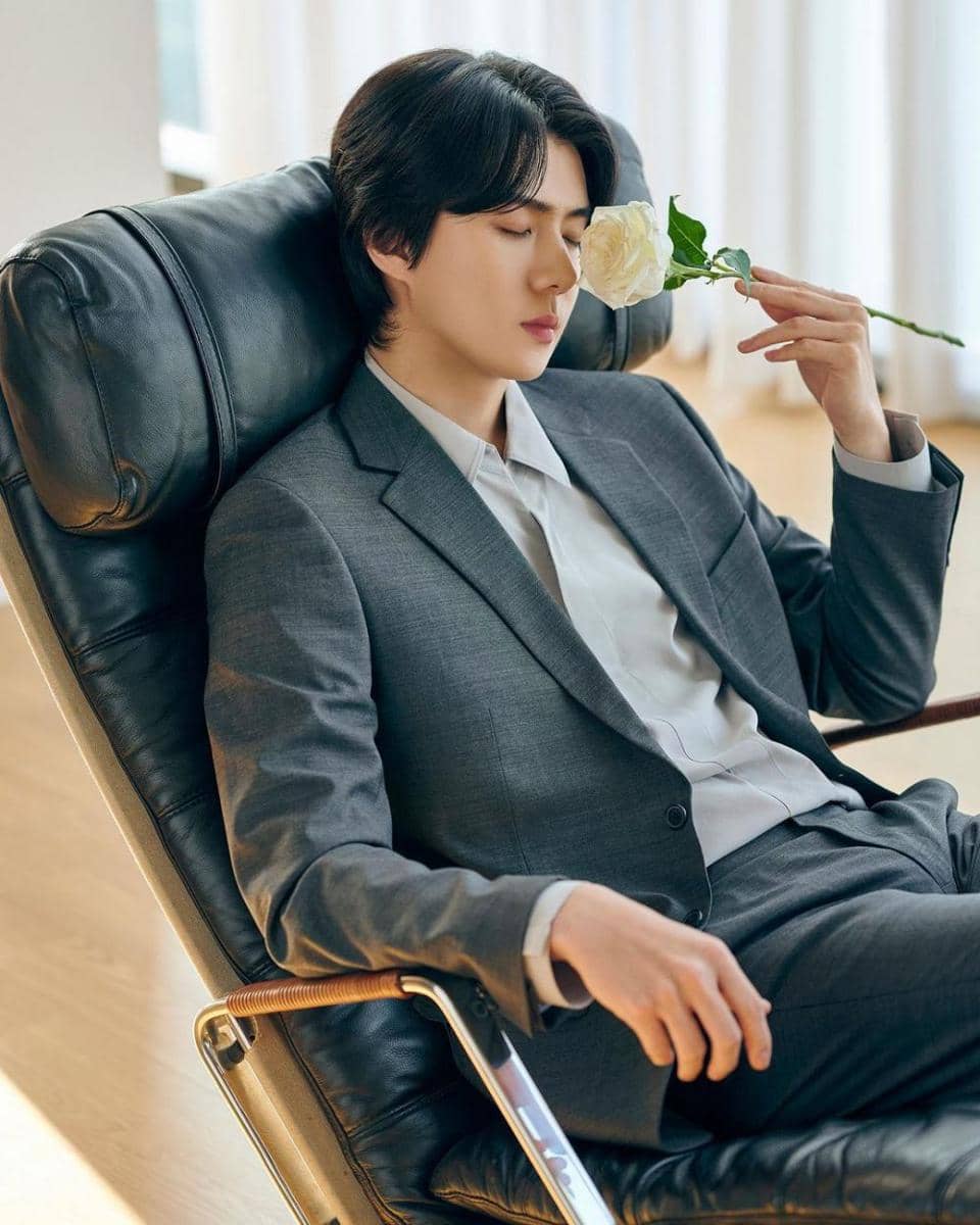 Instagram.com/dailysehun