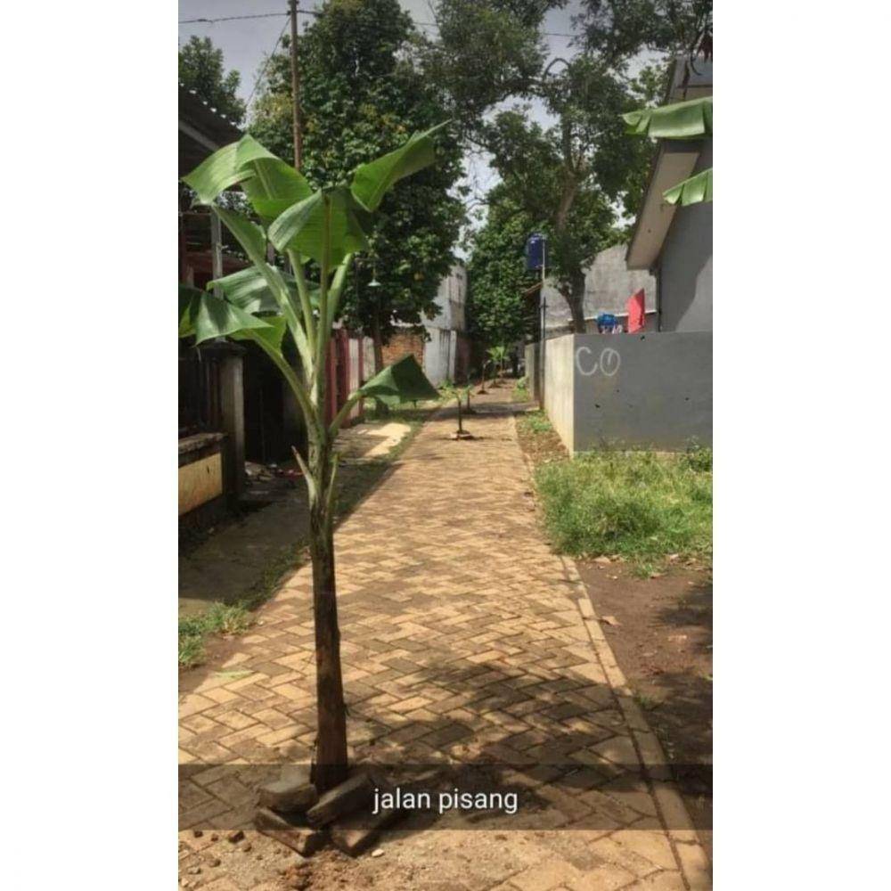 Instagram.com/newdramaojol.id
