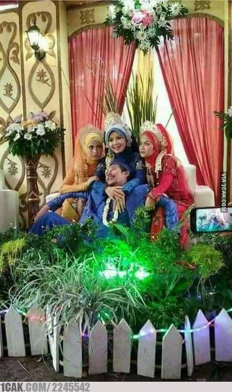 1cak.com/2245542