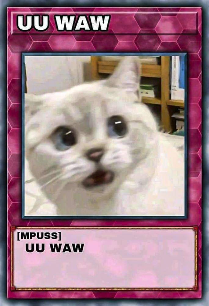 facebook.com/Cici Disini