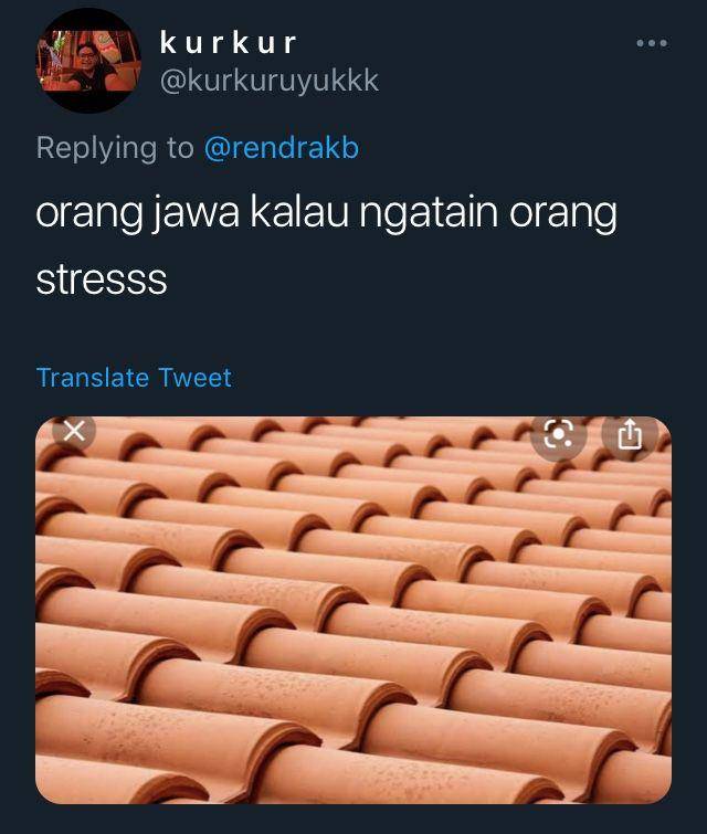 Twitter.com/kurkuruyukkk