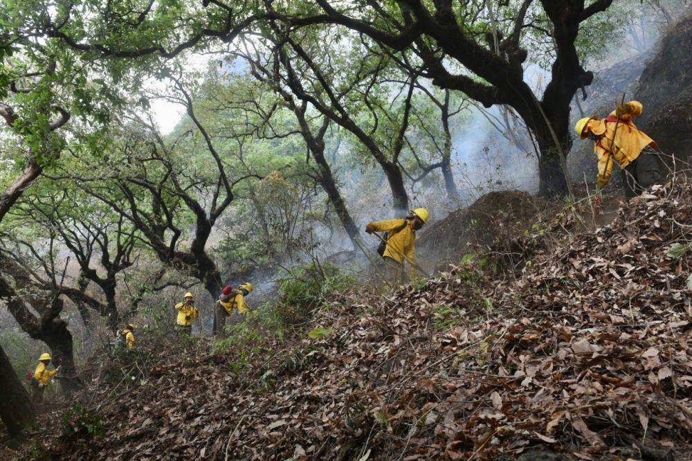 Petugas yang memadamkan api di Tepoztlán, Meksiko. (twitter.com/CEECA_Morelos)