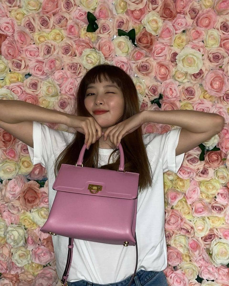 instagram.com/hi_sseulgi