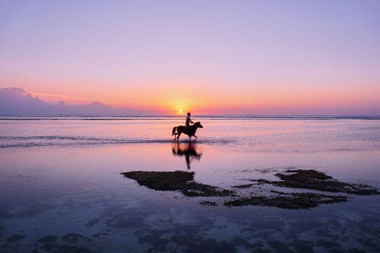 Media Digital Bisa Bangkitkan Wisata di Lombok, Begini Alasannya!