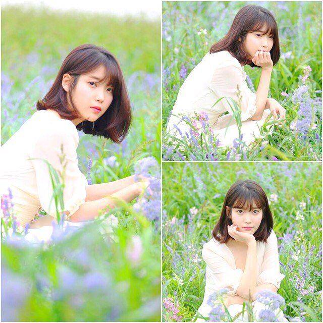instagram.com/lilyiu_