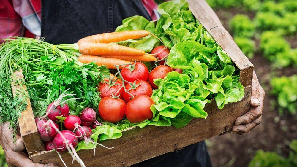 bahan makanan organik (innovationnewsnetwork.com)