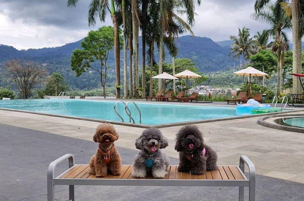 instagram.com/the_3poosisters