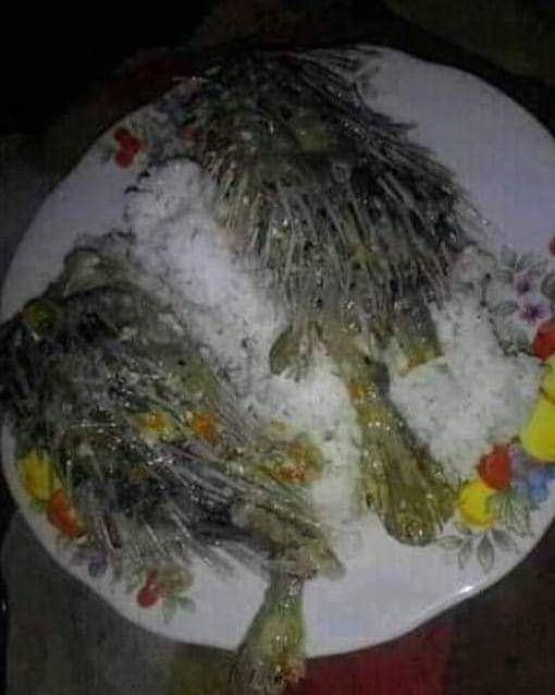 Instagram.com/humorsantuy