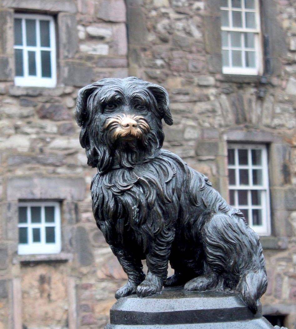 Instagram.com/edinburghwanders