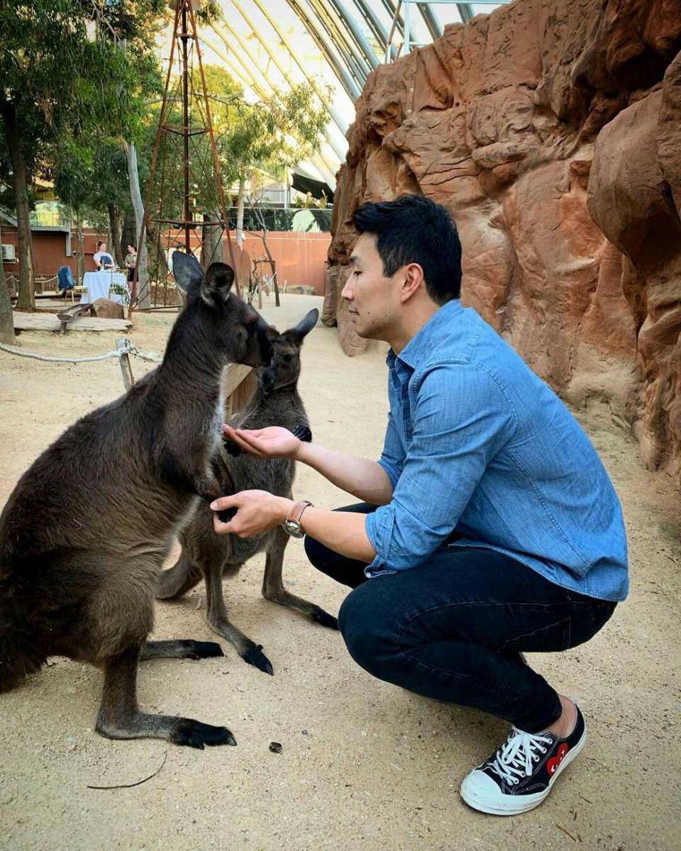 Instagram.com/simuliu