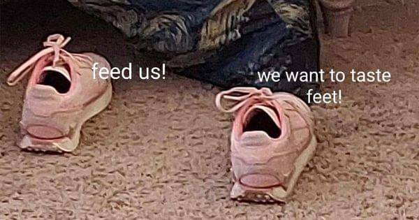 facebook.com/Brian Carthans