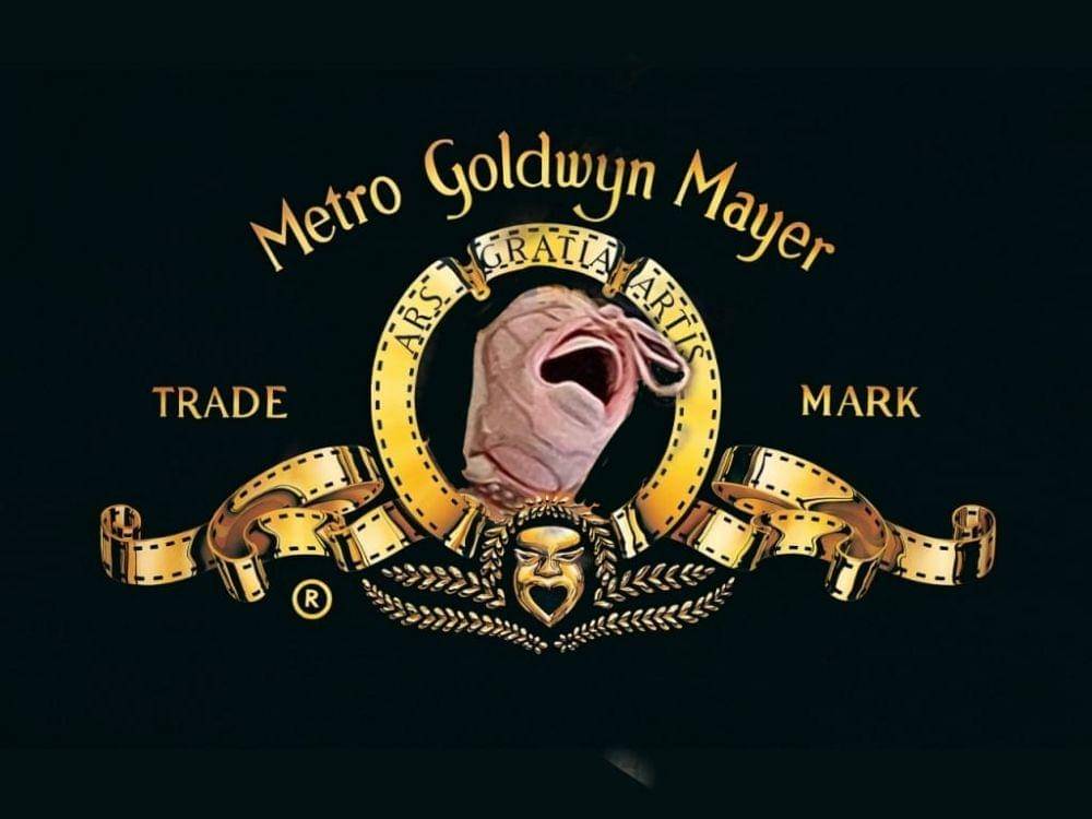 facebook.com/Shannon McKeon