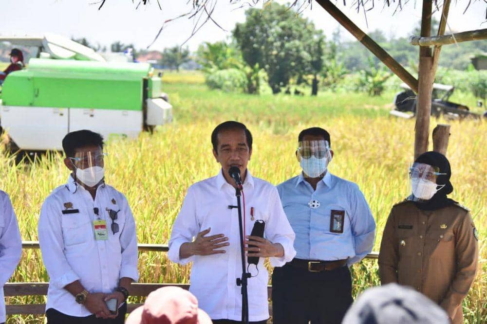 Presiden Joko Widodo meninjau langsung hasil panen di Desa Wanasari Kab. Indramayu. (Diskominfo Indramayu)